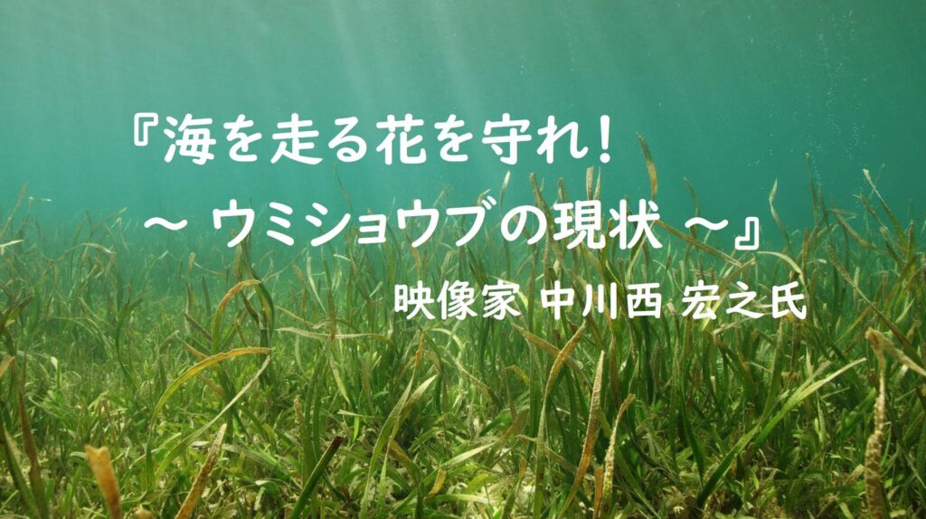 【JCUEオンライン】『海を走る花を守れ！ ～ ウミショウブの現状 ～』