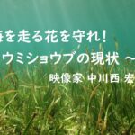 【JCUEオンライン】『海を走る花を守れ! ~ ウミショウブの現状 ~』