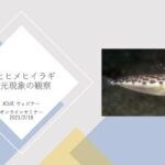 【開催報告】JCUEオンライン『僕とヒメヒイラギ』佐々木 紅良