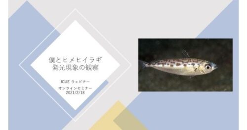 【開催報告】JCUEオンライン『僕とヒメヒイラギ』佐々木 紅良