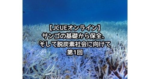 【JCUEオンライン】 第1回 サンゴの基礎から保全そして脱炭素社会に向けて
