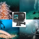 【JCUEオンライン】GoPro水中撮影のイロハ!~GoProの選び方、水中撮影に必要なアクセサリーから撮影のコツまで基本編~