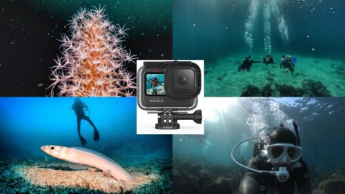 【JCUEオンライン】GoPro水中撮影のイロハ！～GoProの選び方、水中撮影に必要なアクセサリーから撮影のコツまで基本編～