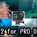 【JCUEオンライン】GoPro使用ゲスト向けテクニックと映像発信媒体の今後