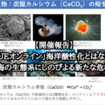 【開催報告】「JCUEオンライン」 海洋酸性化とはなにか? ~海の生態系にしのびよる新たな危機~