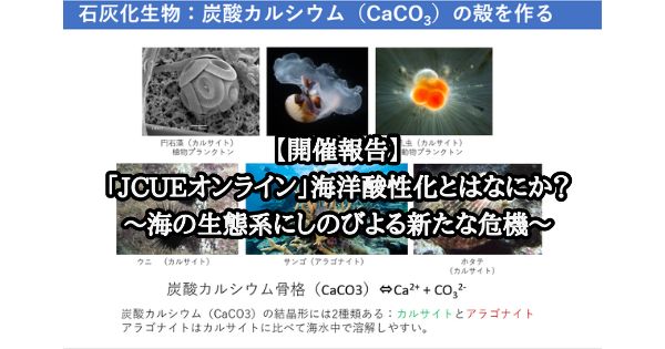 【開催報告】「JCUEオンライン」  海洋酸性化とはなにか？ ～海の生態系にしのびよる新たな危機～