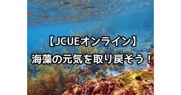 【無料公開セミナー】海藻の元気を取り戻そう!