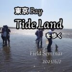 東京湾TIDE LANDを歩くフィールドセミナー
