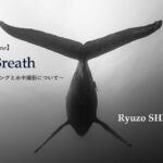 【JCUEオンライン】『ONE BREATH ~フリーダイビングと水中撮影について』  篠宮 龍三氏 フリーダイバー/写真家