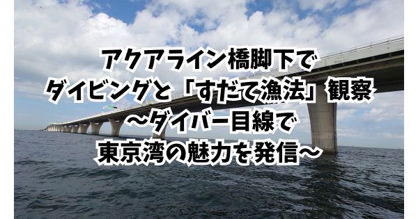 アクアライン橋脚下でダイビングと「すだて漁法」観察 〜ダイバー目線で東京湾の魅力を発信〜