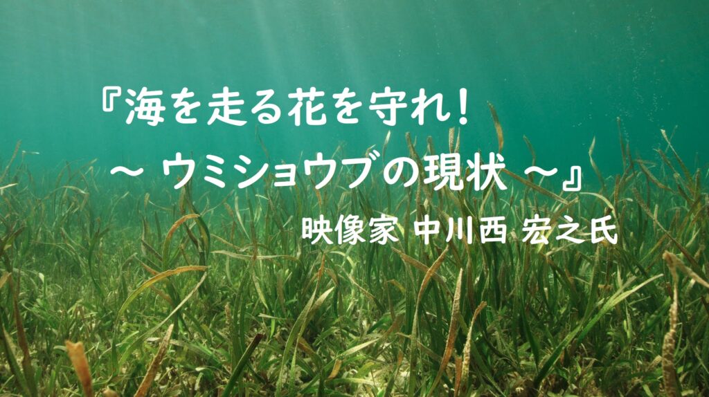 【開催報告】JCUEオンライン『海を走る花を守れ！〜ウミショウブの現状〜』中川西宏之 氏