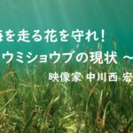 【開催報告】JCUEオンライン『海を走る花を守れ!〜ウミショウブの現状〜』中川西宏之 氏