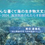 【無料 オンラインセミナー】 『こんな暑くて海の生きもの大丈夫?? ~2024海洋熱波のもたらす影響~』  熊谷 直喜氏(国立環境研究所 気候変動適応センター 主任研究員)