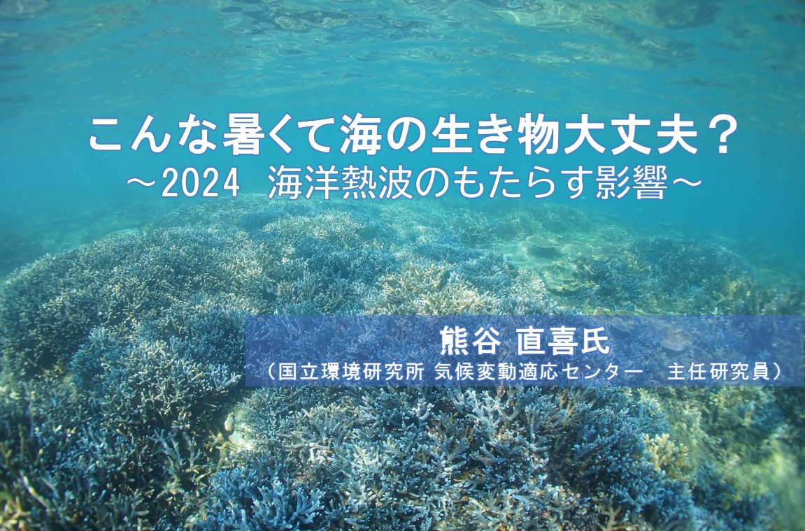 【無料 オンラインセミナー】 『こんな暑くて海の生きもの大丈夫?? ~2024海洋熱波のもたらす影響~』  熊谷 直喜氏(国立環境研究所 気候変動適応センター 主任研究員)