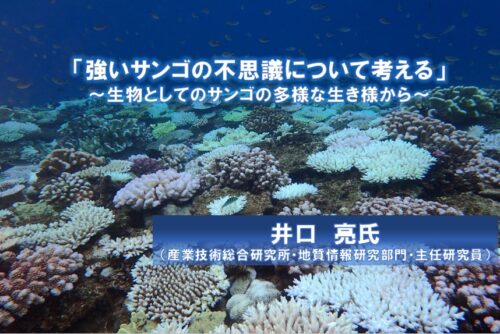 【無料 オンラインセミナー】『強いサンゴの不思議について考える~生物としてのサンゴの多様な生き様から~』 井口 亮氏(産業技術総合研究所 地質情報研究部門 主任研究員)