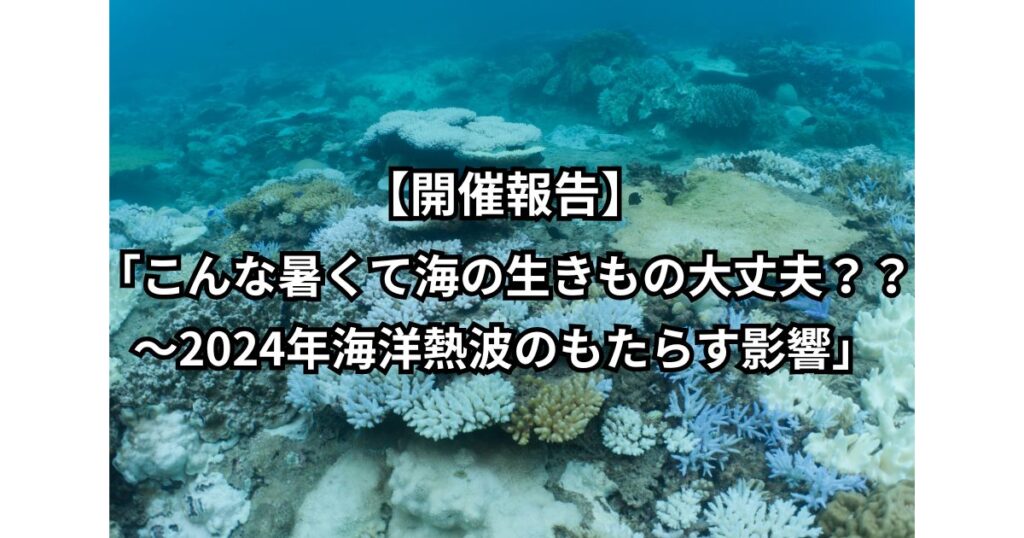 【開催報告】「こんな暑くて海の生きもの大丈夫？？～2024年海洋熱波のもたらす影響」