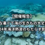 【開催報告】「こんな暑くて海の生きもの大丈夫??~2024年海洋熱波のもたらす影響」