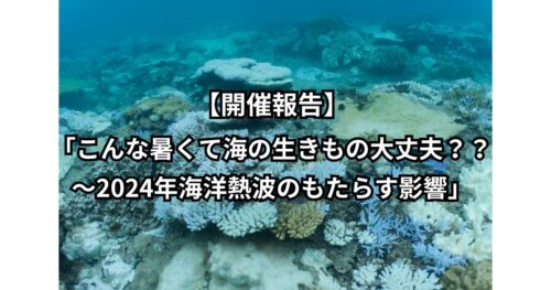 【開催報告】「こんな暑くて海の生きもの大丈夫??~2024年海洋熱波のもたらす影響」