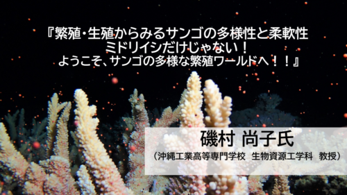 【無料 オンラインセミナー】繁殖・生殖からみるサンゴの多様性と柔軟性 ~ミドリイシだけじゃない!ようこそ、サンゴの多様な繁殖ワールドへ!~
