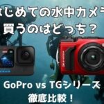 【JCUEセミナー】初めての水中カメラ! 買うのはどっち? 〜Go Pro vs TGシリーズ徹底比較〜 矢北 拓也