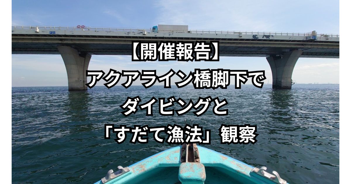 【開催報告】アクアライン橋脚下でダイビングと「すだて漁法」観察 〜ダイバー目線で東京湾の魅力を発信〜