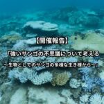 【開催報告】「強いサンゴの不思議について考える~生物としてのサンゴの多様な生き様から~」
