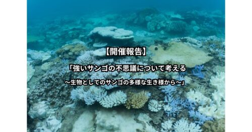 【開催報告】「強いサンゴの不思議について考える~生物としてのサンゴの多様な生き様から~」