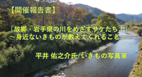 【開催報告】「故郷・岩手県の川をめざすサケたち!」 ~身近ないきものが教えてくれること~   平井 佑之介氏/いきもの写真家