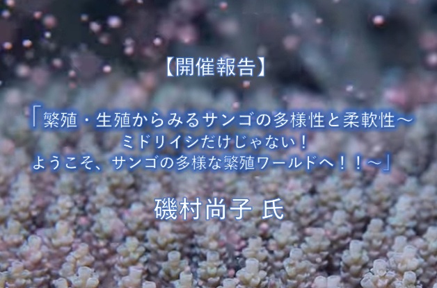 【開催報告】「繁殖・生殖からみるサンゴの多様性と柔軟性～ミドリイシだけじゃない！ようこそ、サンゴの多様な繁殖ワールドへ！！～」  磯村尚子 氏（沖縄工業高等専門学校 生物資源工学科）