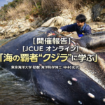 【開催報告】『海の覇者“クジラ”に学ぶ』東京海洋大学 助教 海洋科学博士 中村玄氏