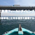 東京湾フィールドダイビング　～浅場環境と生物多様性を観察する～