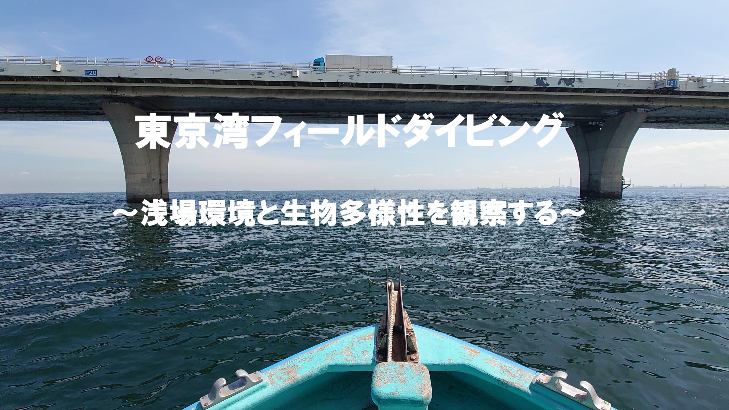 東京湾フィールドダイビング　～浅場環境と生物多様性を観察する～