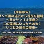 【開催報告】 サンゴ礁の過去から現在を紐解く  〜巨大サンゴは何歳？ この藻場はいつからある？ いつもの景色の歴史〜 佐野 亘氏/岡山大学学術研究院教育学域　助教