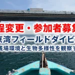 【日程変更：参加者募集】東京湾フィールドダイビング　～浅場環境と生物多様性を観察する～